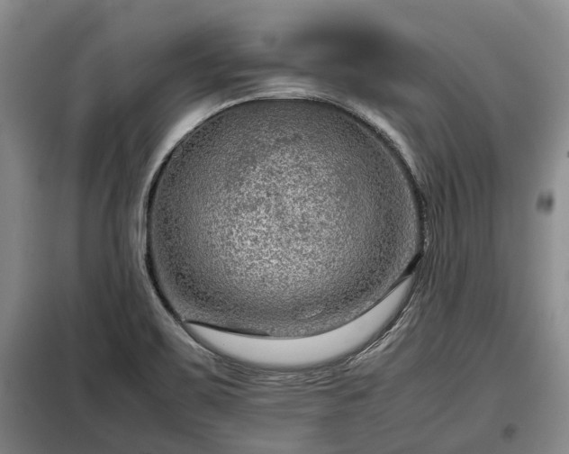 X0000099291467200805090918