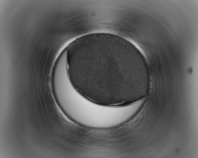 X0000099291468200805090918