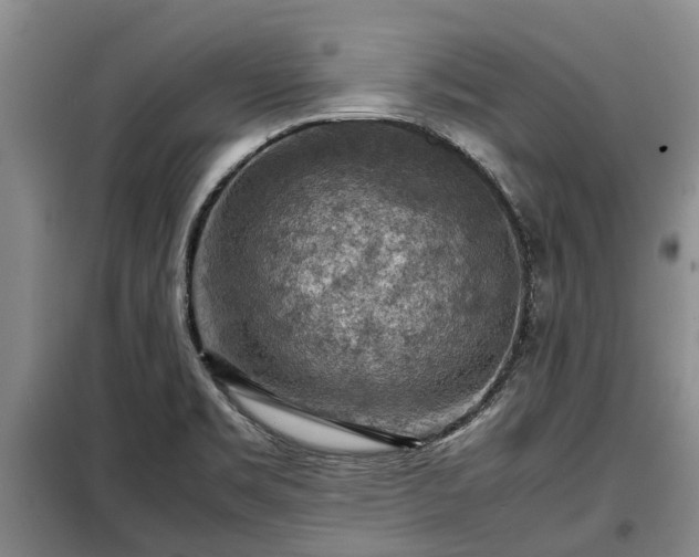 X0000099291469200805090918
