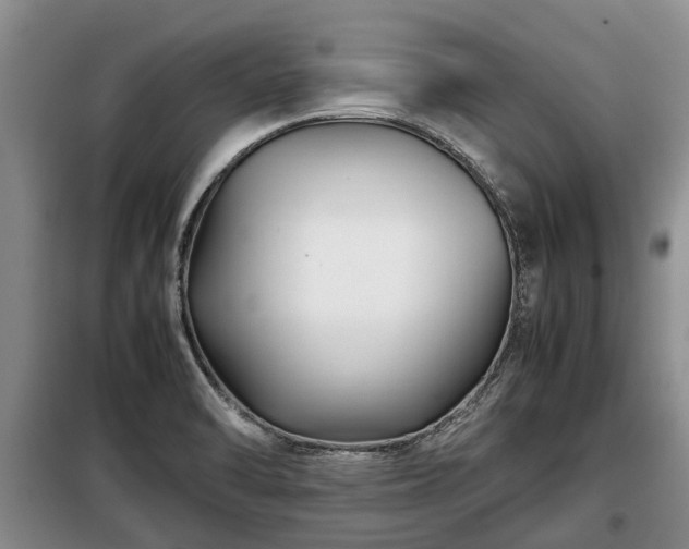 X0000099291470200805090918