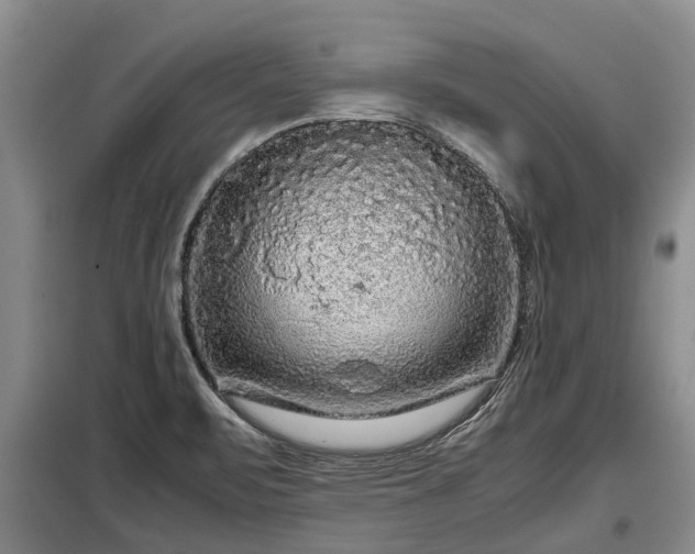 X0000099291471200805090918