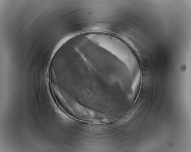 X0000099291474200805090918