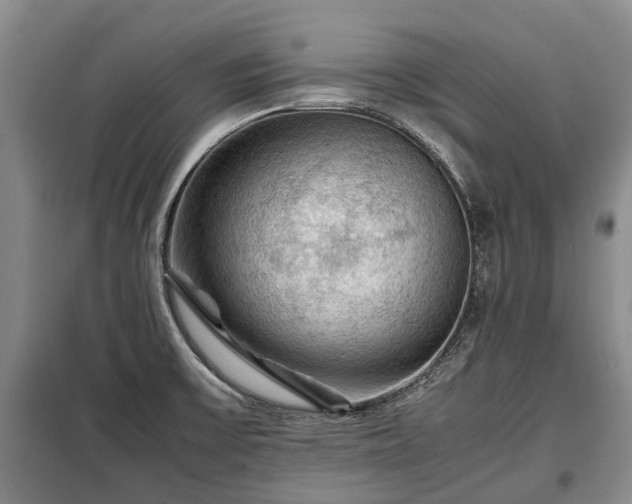 X0000099291475200805090918