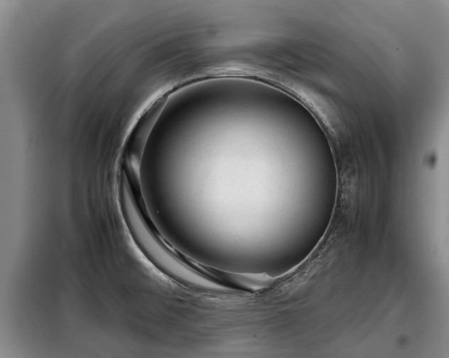 X0000099291476200805090918