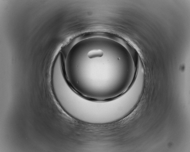 X0000099291477200805090918