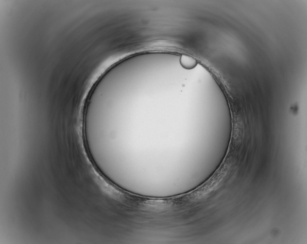 X0000099291478200805090918
