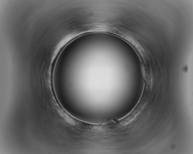 X0000099291480200805090918