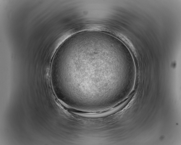 X0000099291481200805090918