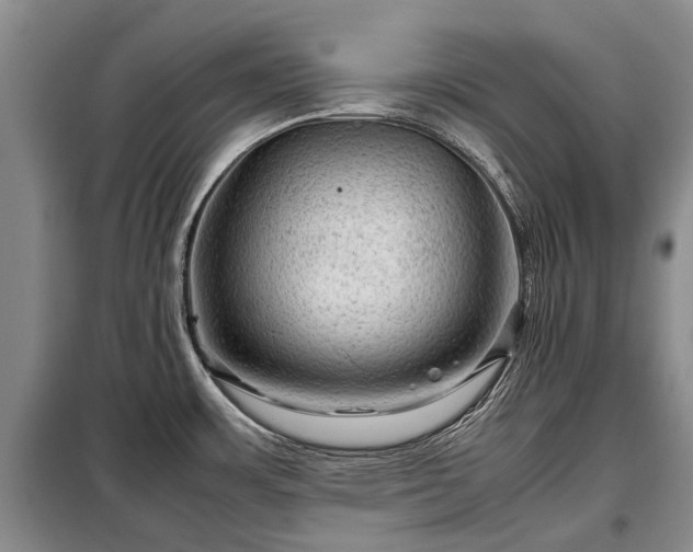 X0000099291483200805090918