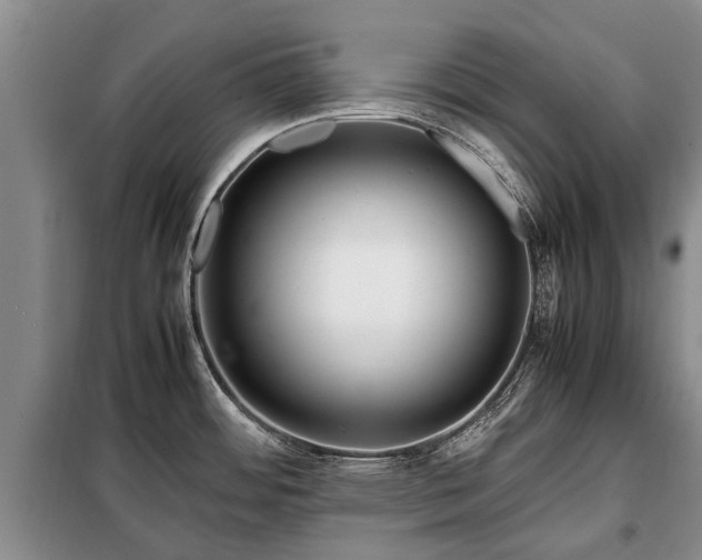 X0000099291484200805090918
