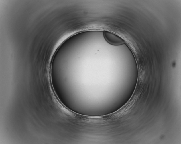 X0000099291486200805090918