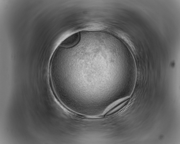 X0000099291487200805090918