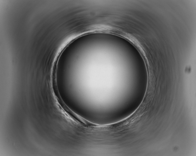 X0000099291488200805090918