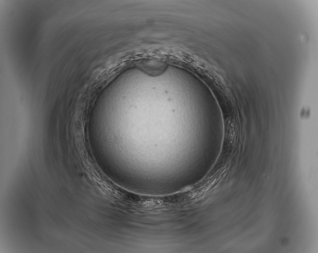 X0000099291489200805090917