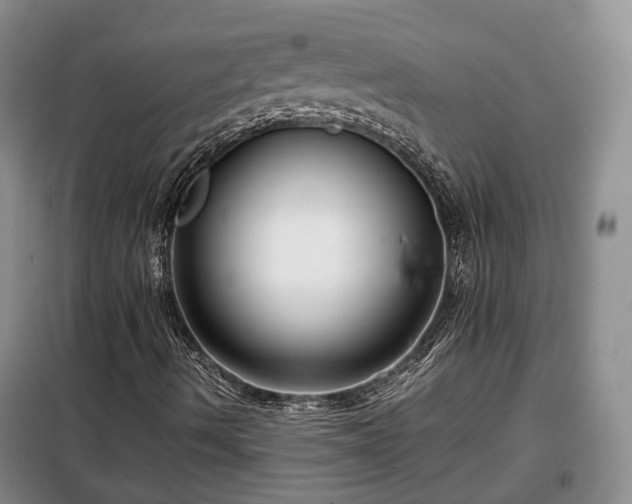X0000099291490200805090917