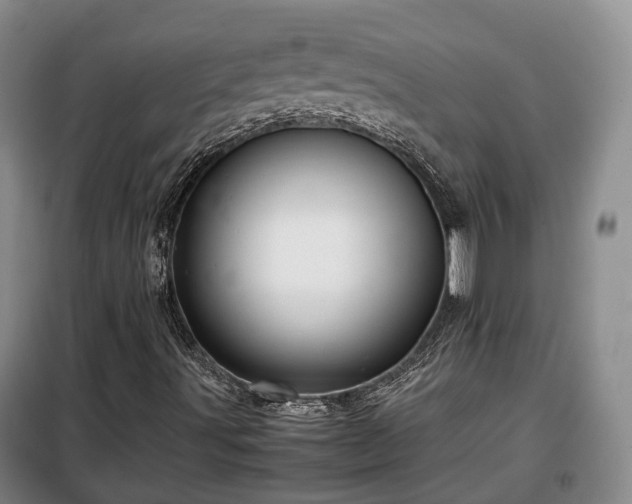 X0000099291491200805090917