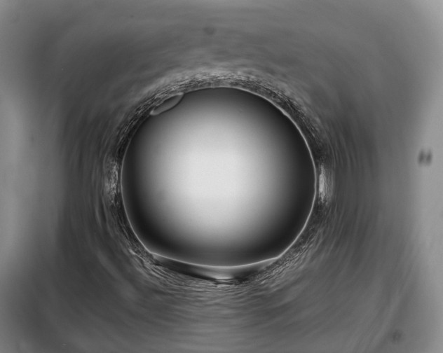 X0000099291492200805090917
