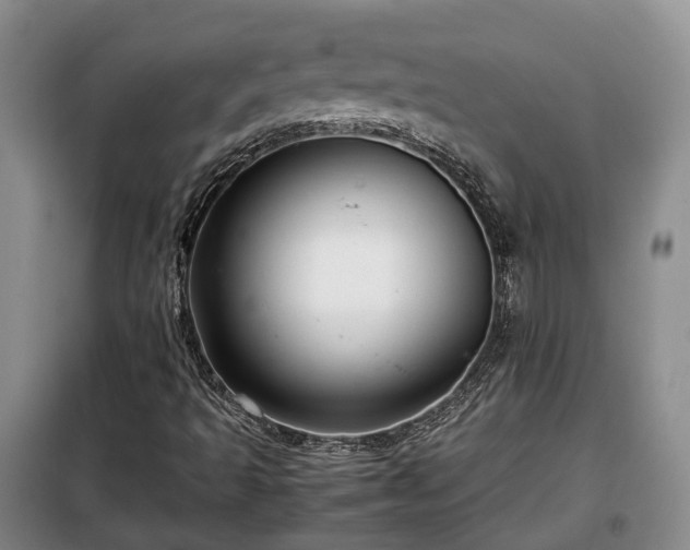 X0000099291493200805090917