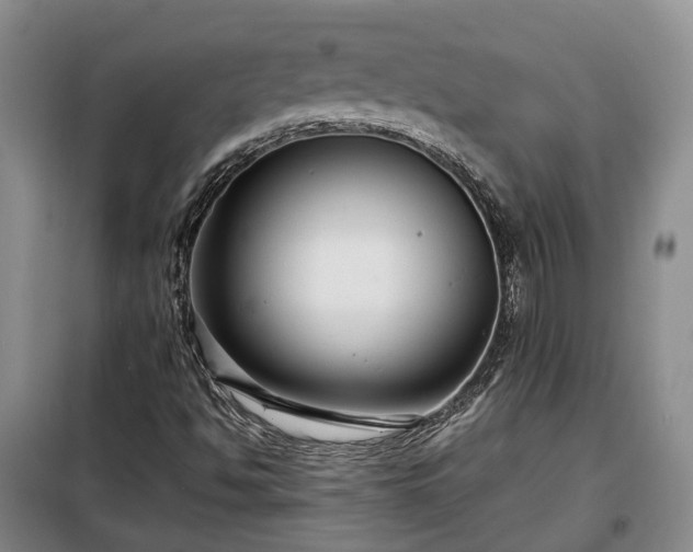 X0000099291494200805090917