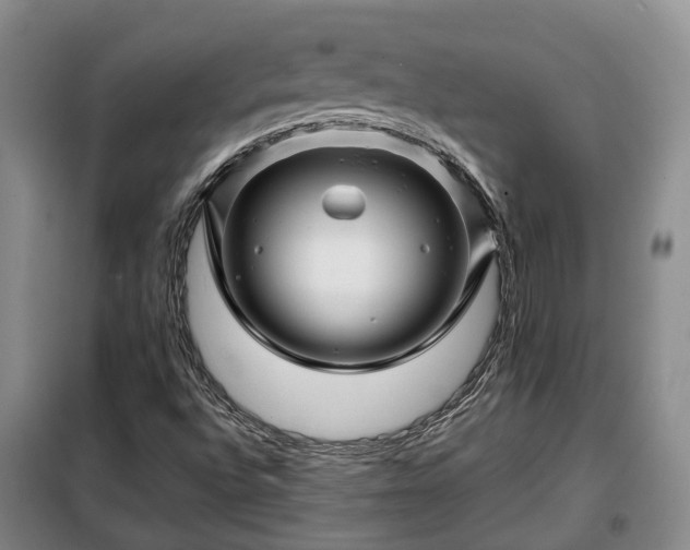 X0000099291496200805090917