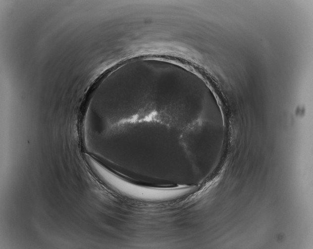 X0000099291497200805090917