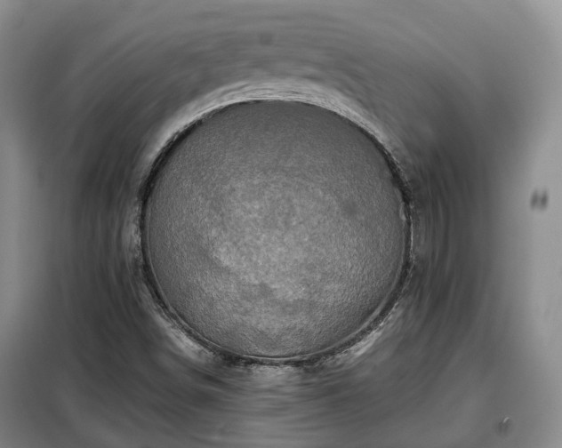 X0000099291498200805090917