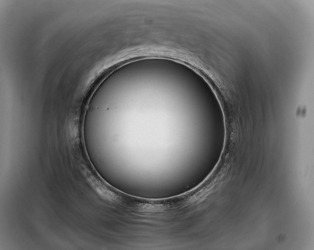 X0000099291499200805090917