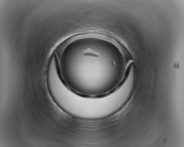 X0000099291500200805090917
