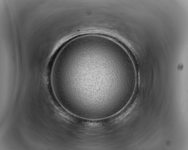 X0000099291501200805090917