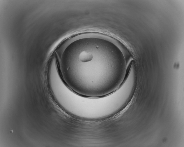 X0000099291502200805090917