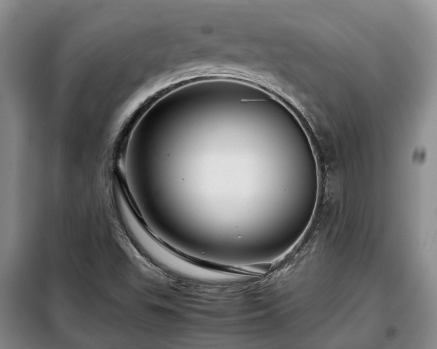 X0000099291503200805090917