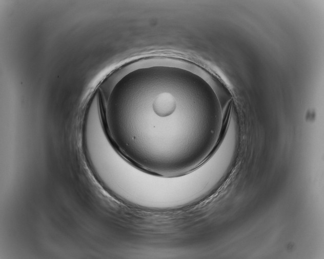 X0000099291504200805090917
