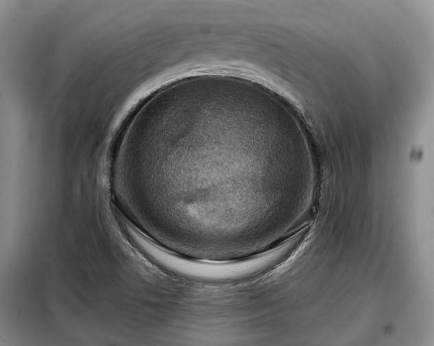 X0000099291506200805090917