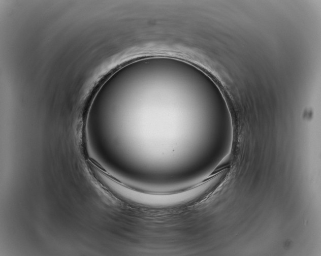 X0000099291507200805090917