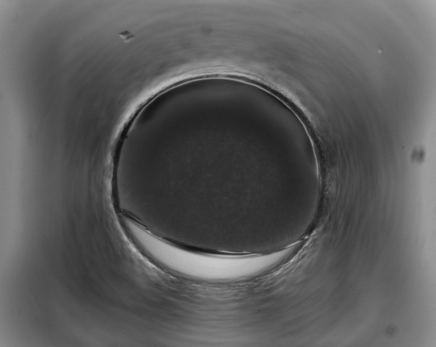 X0000099291508200805090917