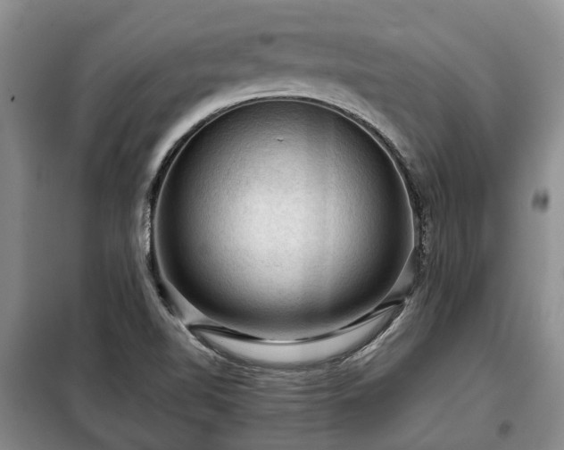 X0000099291510200805090918