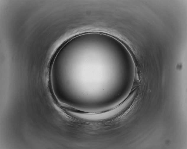 X0000099291511200805090918