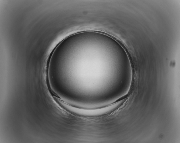 X0000099291512200805090918