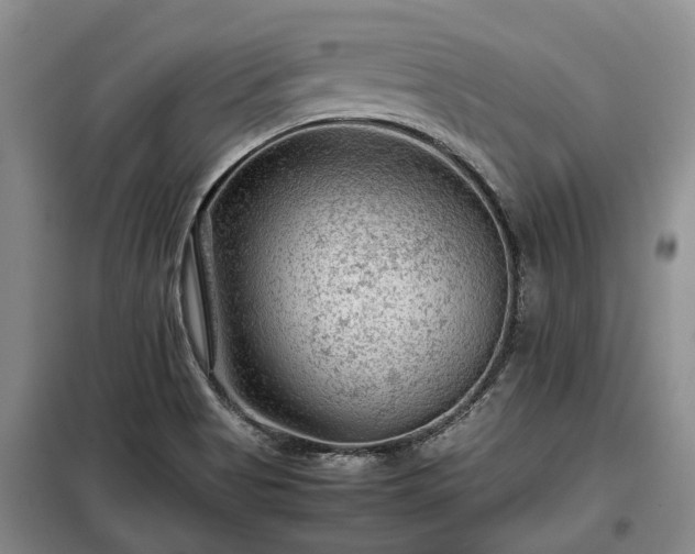 X0000099291513200805090918