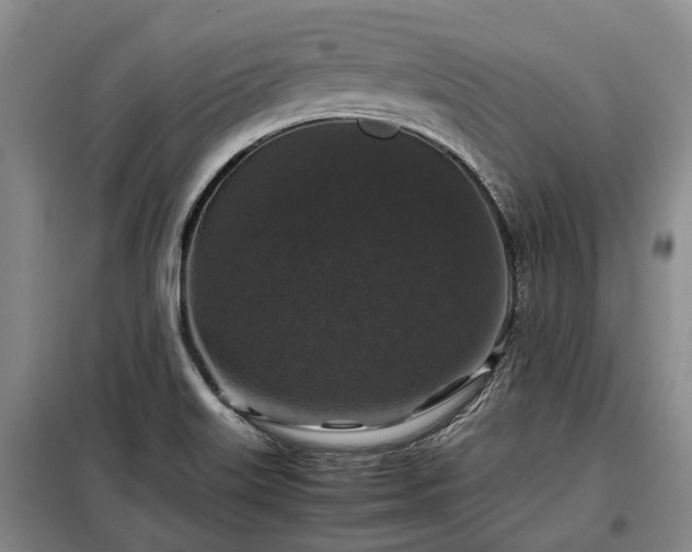 X0000099291515200805090918