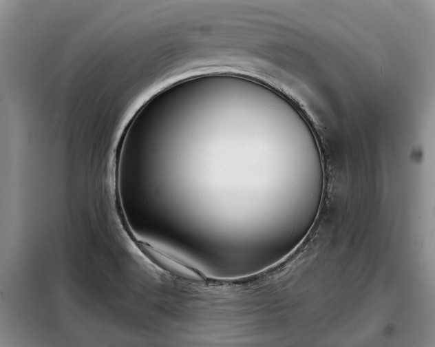 X0000099291516200805090918