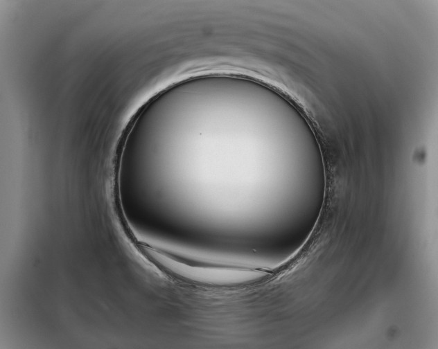 X0000099291518200805090918
