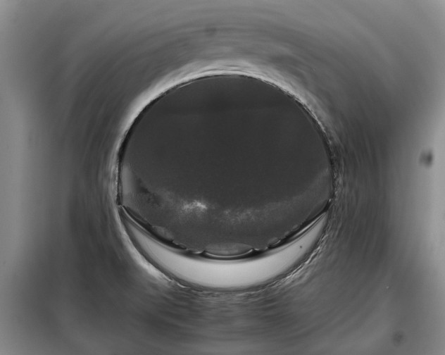 X0000099291519200805090918