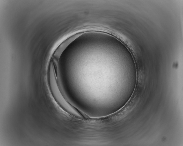 X0000099291520200805090918