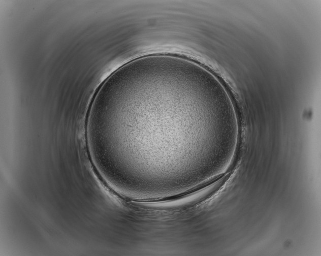 X0000099291521200805090918
