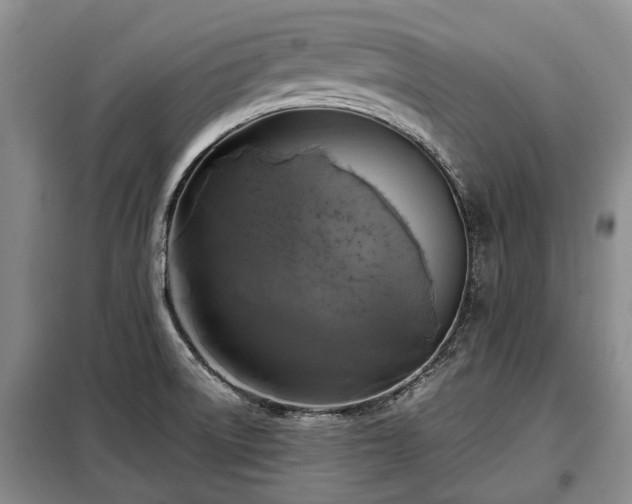 X0000099291522200805090918