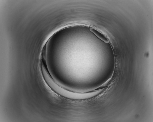 X0000099291524200805090918