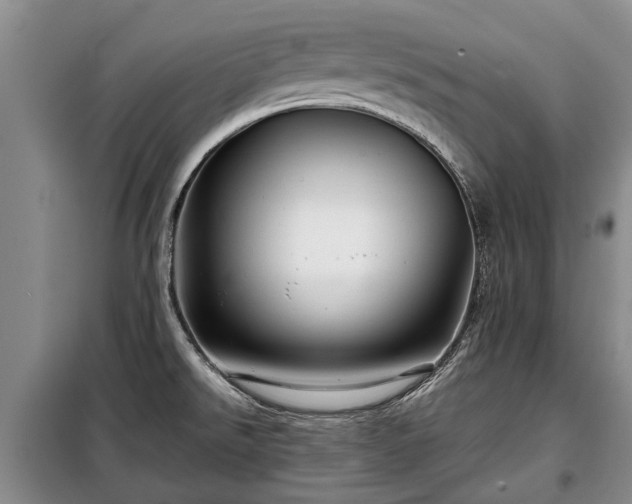 X0000099291526200805090918