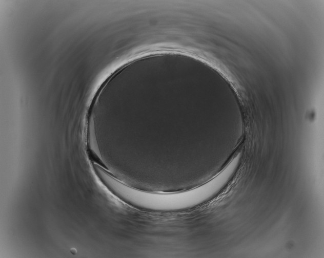 X0000099291527200805090918