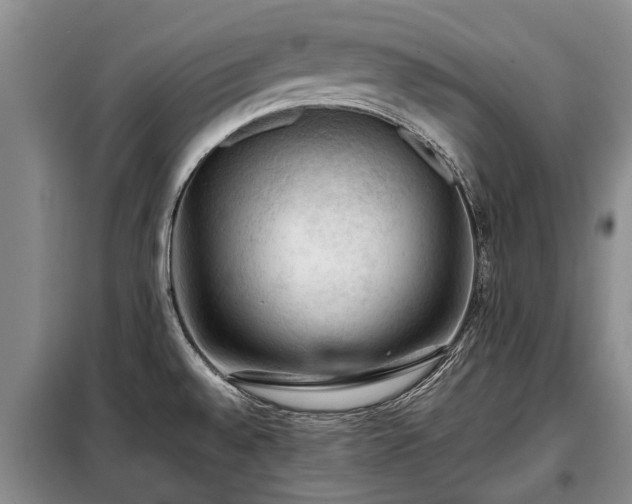 X0000099291528200805090918